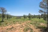 1604 Nm Highway 24 - Photo 13