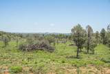 1604 Nm Highway 24 - Photo 14