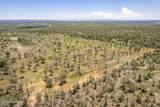 1604 Nm Highway 24 - Photo 59
