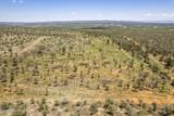 1604 Nm Highway 24 - Photo 61