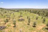 1604 Nm Highway 24 - Photo 62