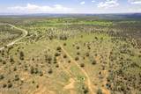 1604 Nm Highway 24 - Photo 64