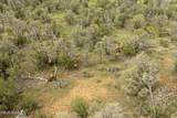 1604 Nm Highway 24 - Photo 7