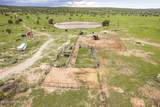 1604 Nm Highway 24 - Photo 9