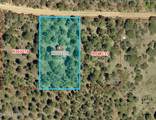 76 Brownwood Road - Photo 4