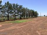 98 Jim Day Lane - Photo 19