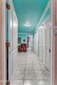 661 Paloma Blanca Drive - Photo 45