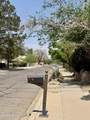 317 Miranda Street - Photo 10