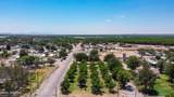 3820 Calle De Las Margaritas - Photo 4