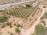 201 Squirrel Road - Photo 11