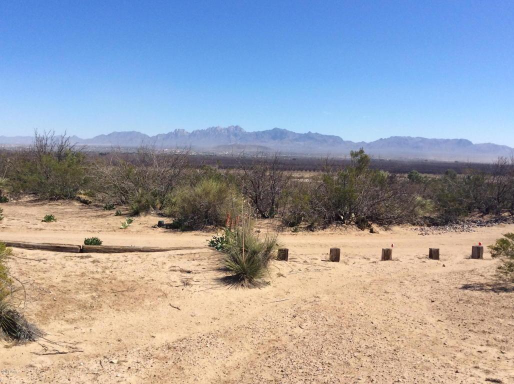 5652 Desert Star Road - Photo 1