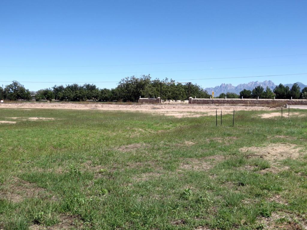 3402 Calle Bedado - Photo 1