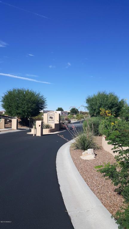 8053 Renoir Loop Loop - Photo 1