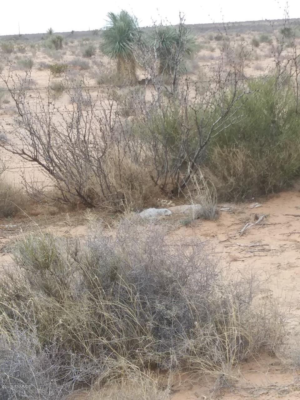 00000 Stateline Rd - Photo 1