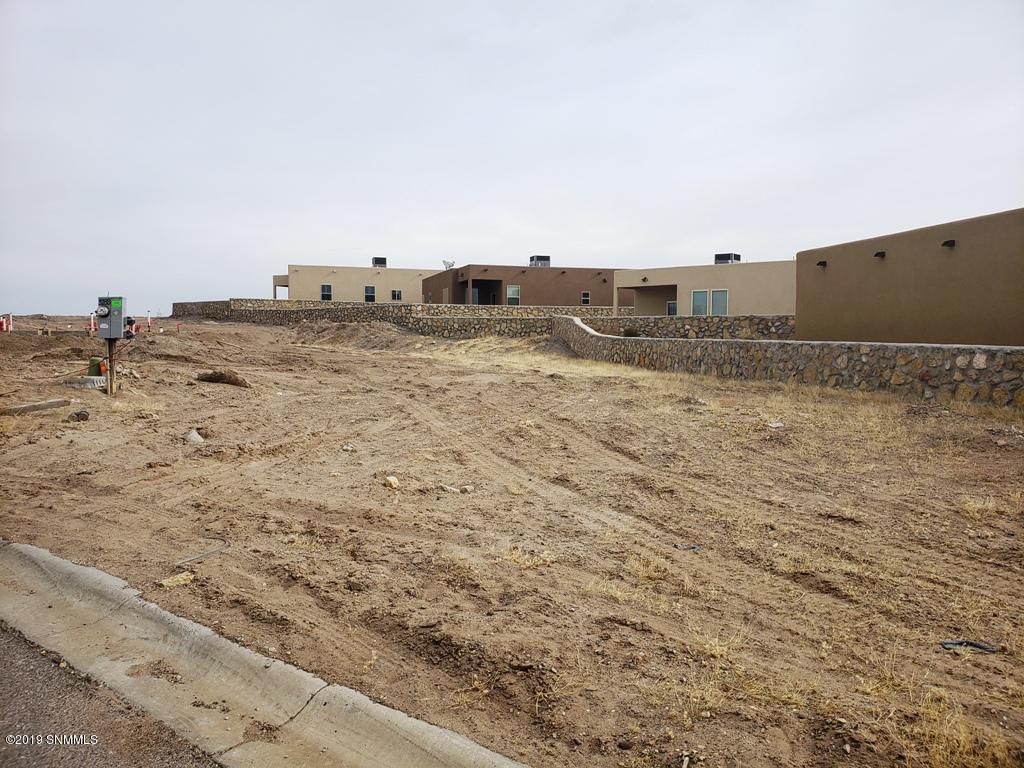 3184 Rio Arriza Loop - Photo 1