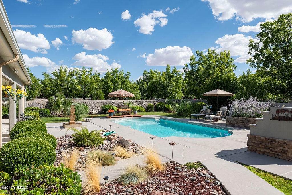 4010 Mimosa Lane - Photo 1