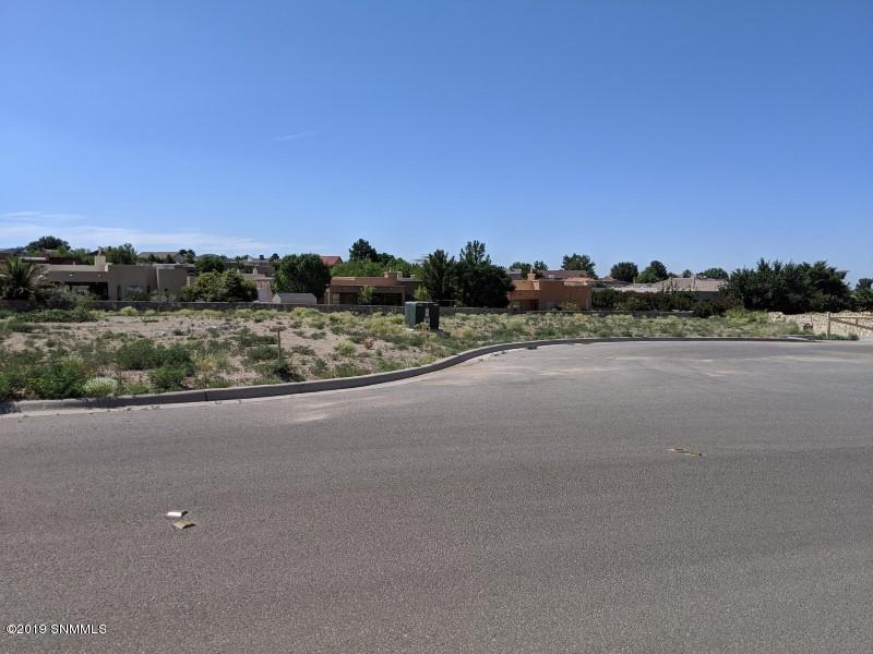 2808 Maddox Loop - Photo 1
