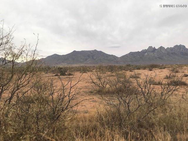 4980 Balsam Road - Photo 1