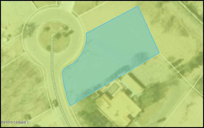 1165 Papillon Lane - Photo 1