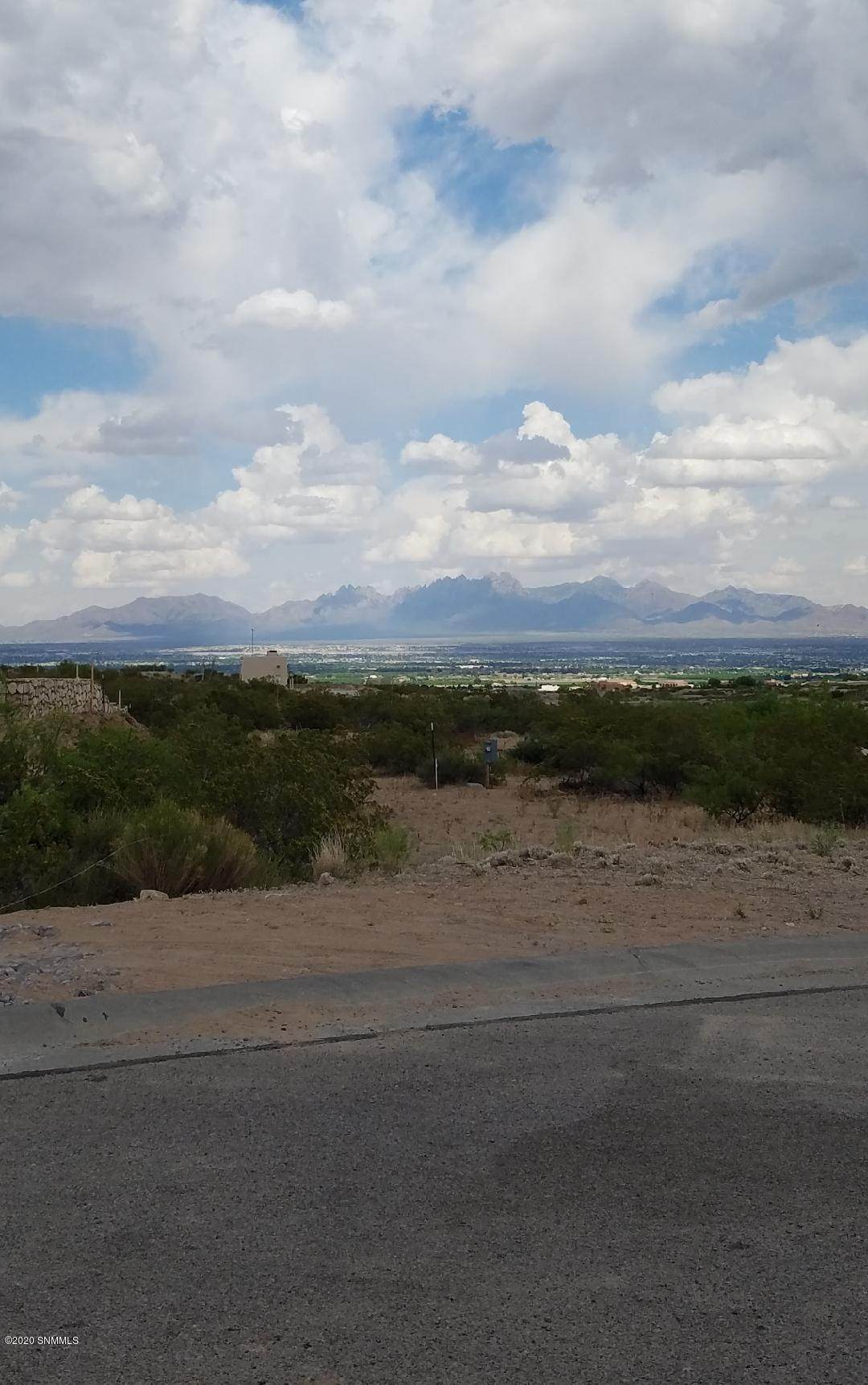 1328 Estancia Real Place - Photo 1