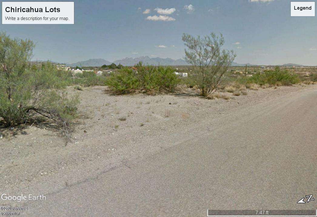 0000 Chiricahua - Photo 1