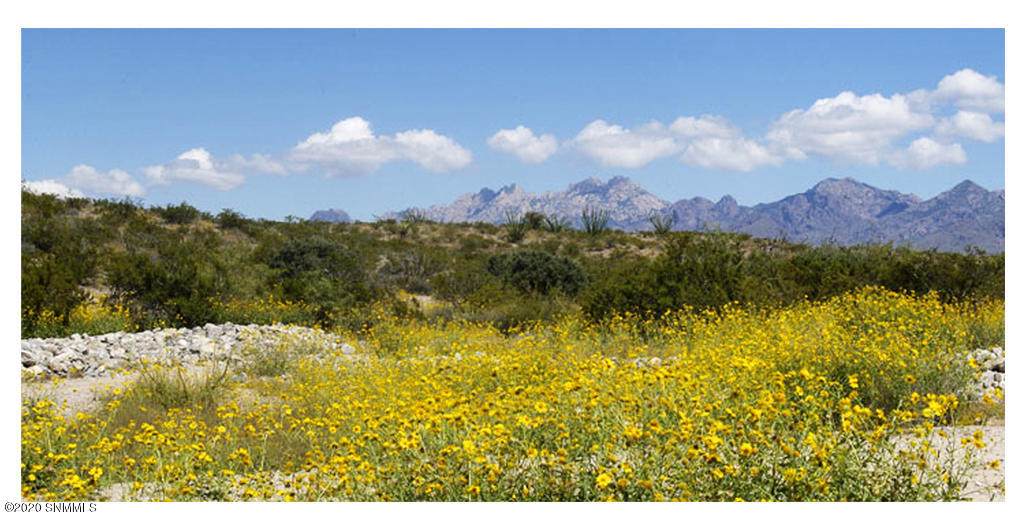 6150 Lazo Del Sur - Photo 1