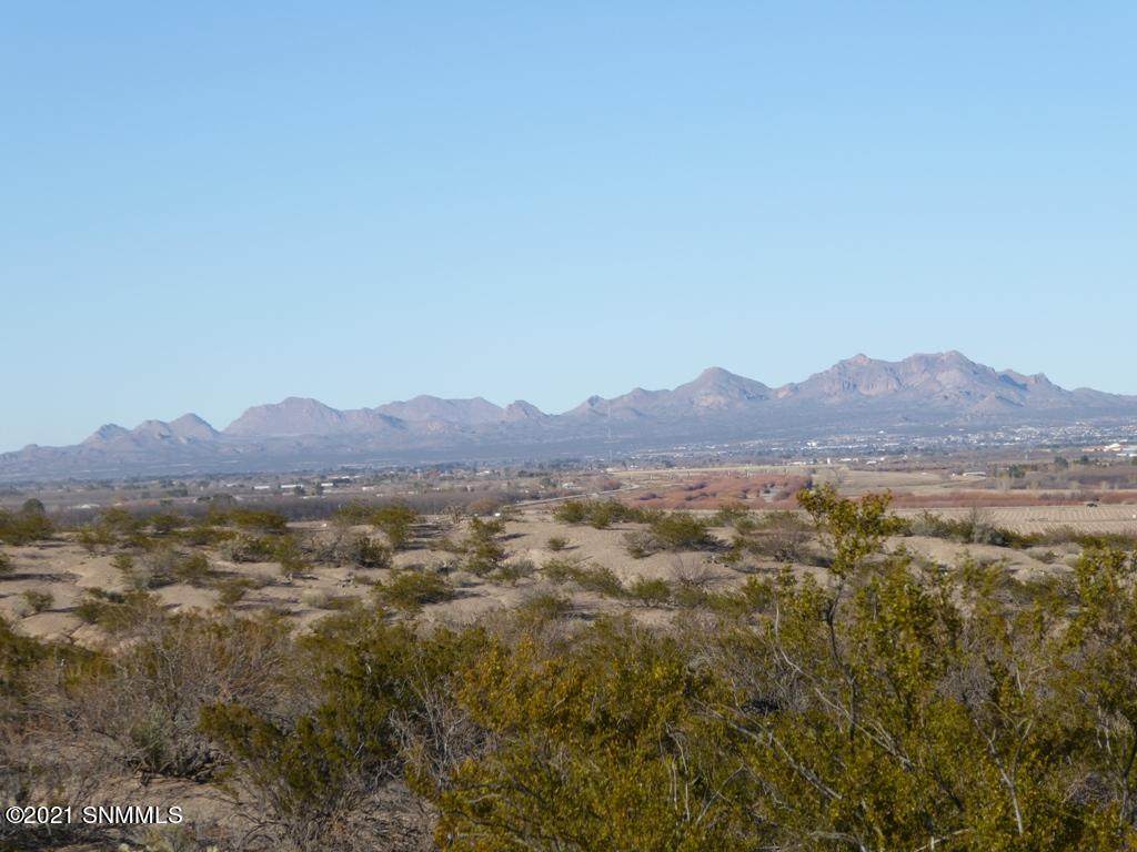 5855 Thielman Road - Photo 1
