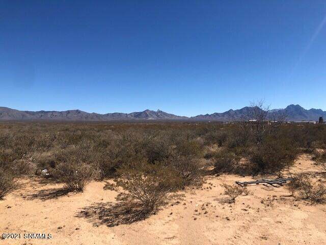 000 Slate Road - Photo 1