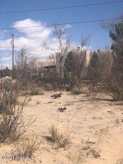 5660 Ricochet Street - Photo 1