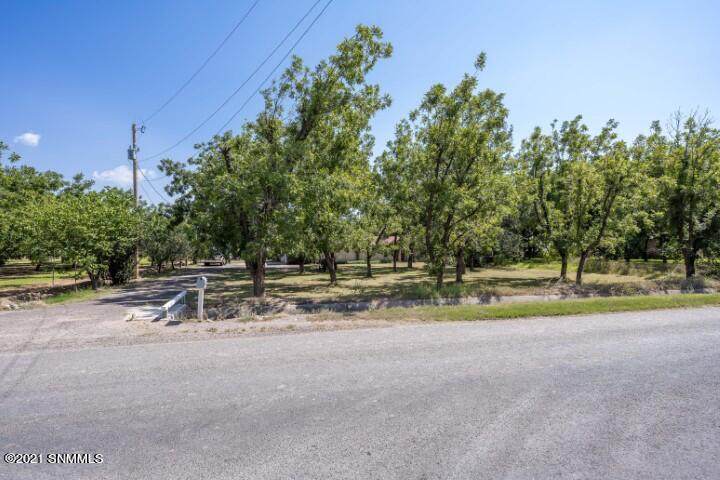 2201 Wildwind Road - Photo 1