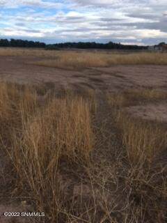 0000 Girasol Road - Photo 1