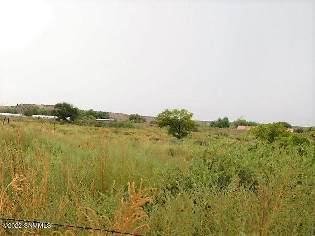 0 Tom Crespin Road - Photo 1
