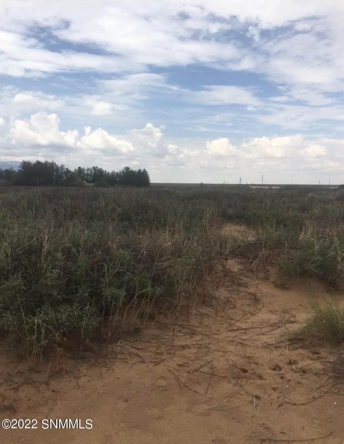 000 Quitman Road - Photo 1