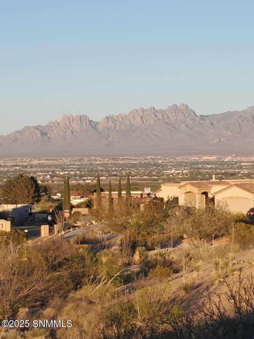 8025 Renoir Loop - Photo 1