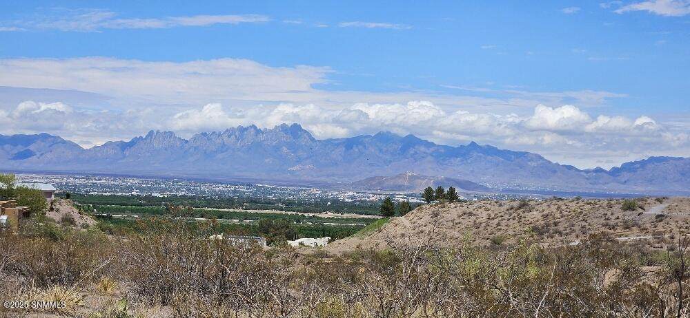 7250 Las Vistas Drive - Photo 1