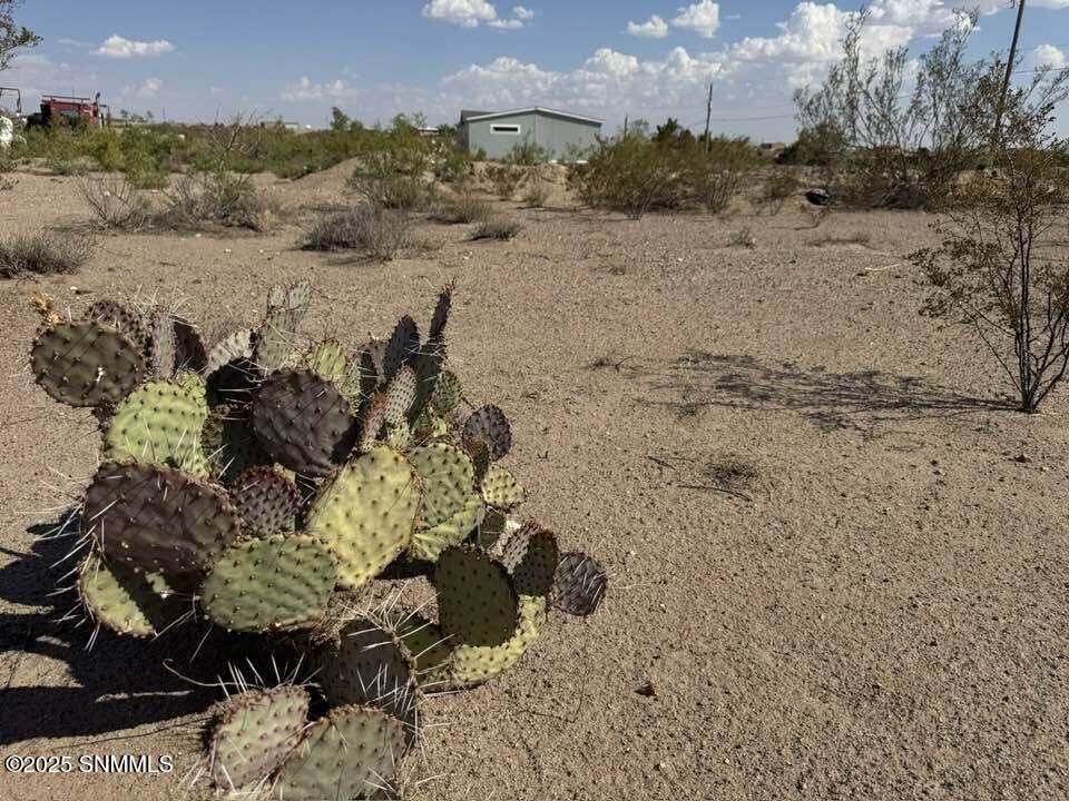 https://bt-photos.global.ssl.fastly.net/lascruces/orig_boomver_1_2502134-2.jpg