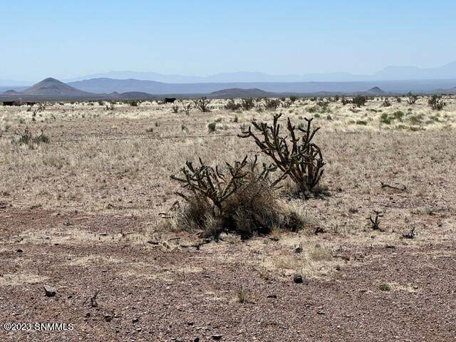 241 La Cienega Ranch Road - Photo 1