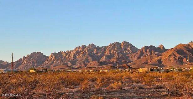 https://bt-photos.global.ssl.fastly.net/lascruces/orig_boomver_1_2600734-2.jpg