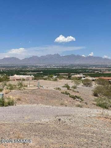 550 Lark Spur Way - Photo 1