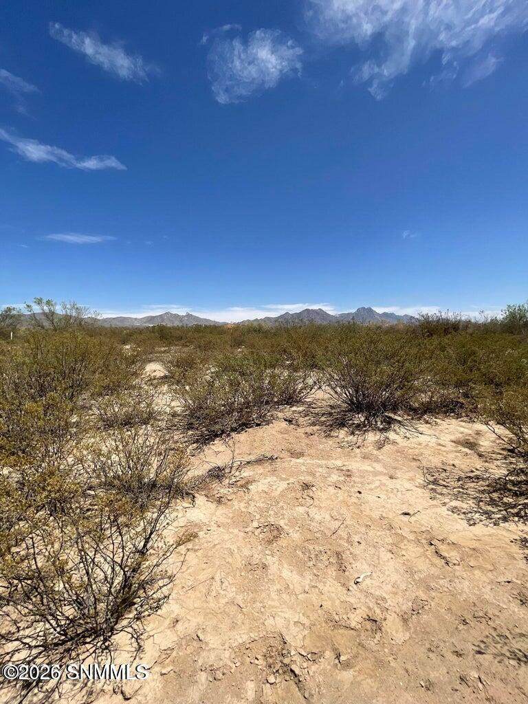 9245 Rabbit Run Road - Photo 1