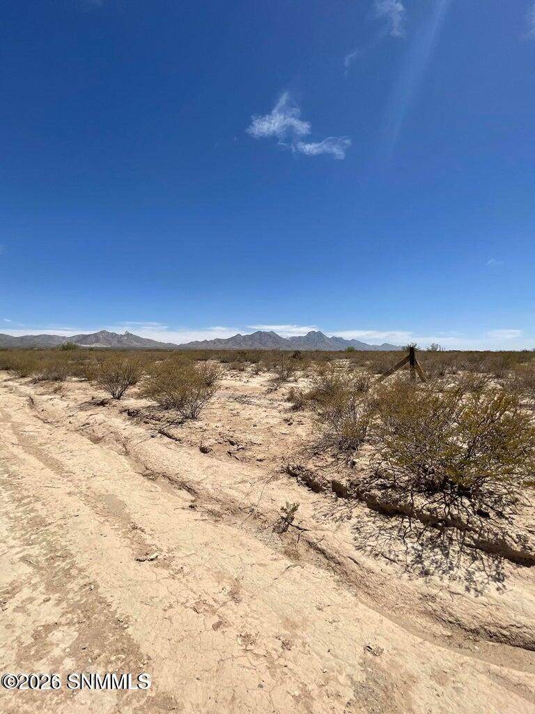 https://bt-photos.global.ssl.fastly.net/lascruces/orig_boomver_1_2601408-2.jpg