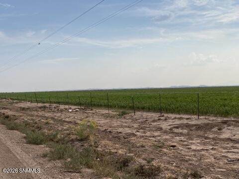 https://bt-photos.global.ssl.fastly.net/lascruces/orig_boomver_1_2601521-2.jpg