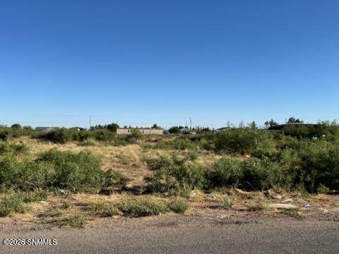 905 Oasis Drive - Photo 1