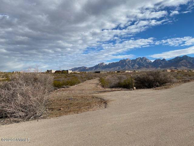 5093 Catamount Drive - Photo 1