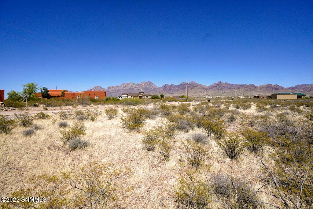 8938 Wind Dancer Trail - Photo 1