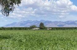 175 Provencio Road - Photo 1