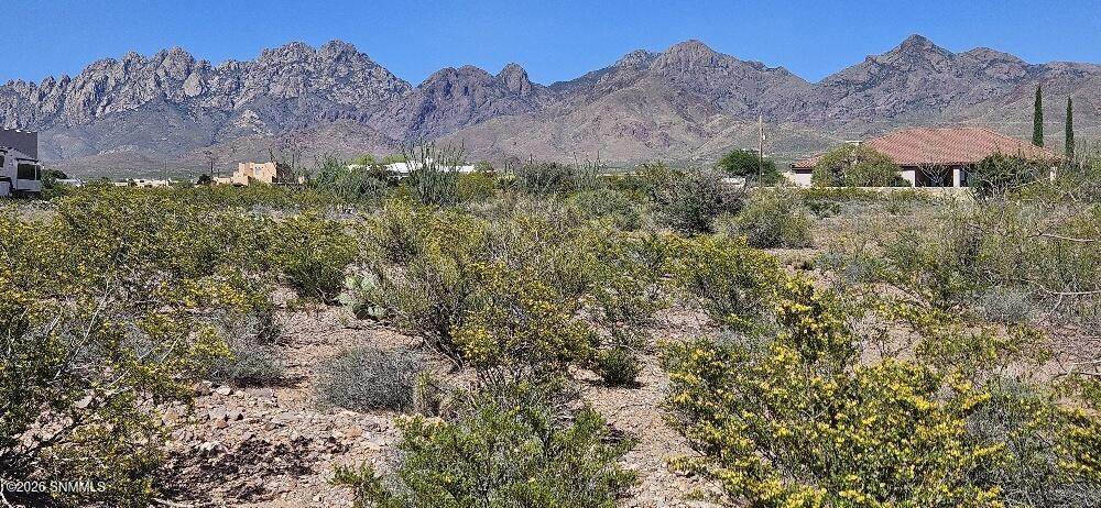 4999 Modoc Road - Photo 1