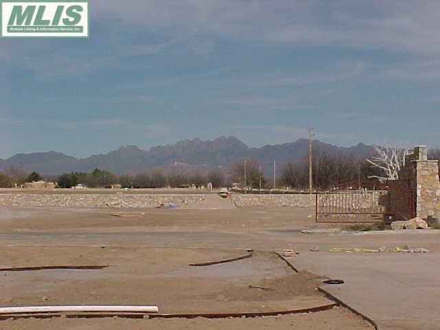2890 Mesilla Acres Road - Photo 1