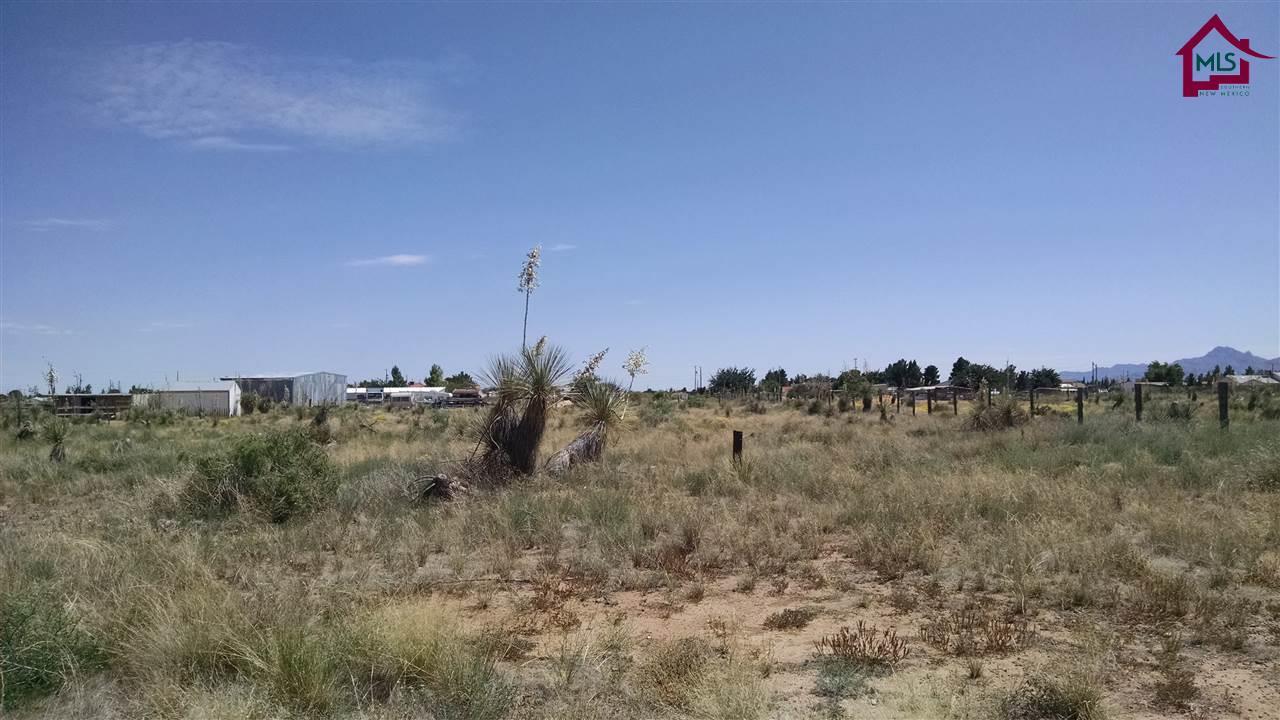 004 Kissiah Drive - Photo 1