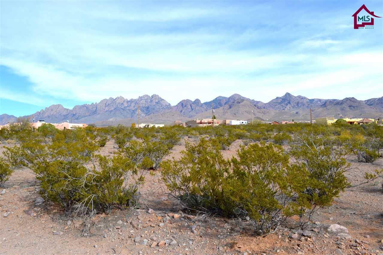 00 Modoc Trail - Photo 1